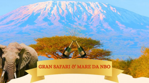 2025 africa gran safari e mare natale e capodanno IN3