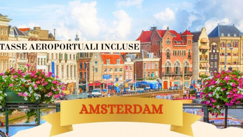 2025 amsterdam immacolata 5 12 IN3