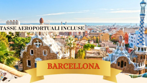 2025 barcellona immacolata 5 12 IN3