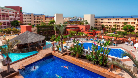 2023 tenerife jacaranda 27/03 IN3