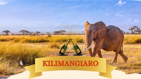2025 africa kilimangiaro e mare natale e capodanno IN3