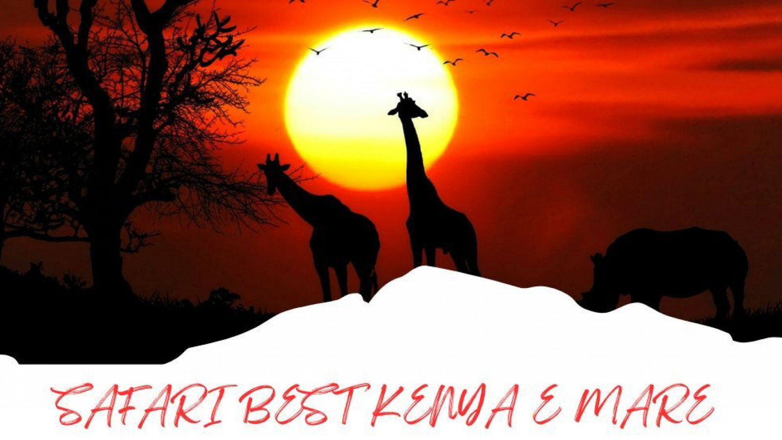 2025 africa best kenia e mare 25 IN3