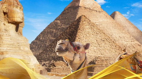 2026 cairo city break 29 05 N IN3