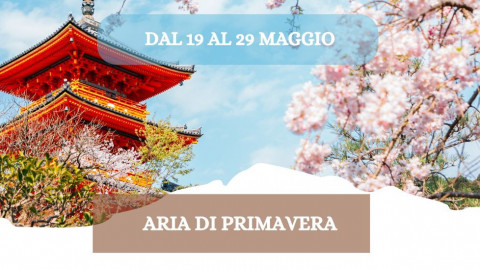 2026 W giappone aria di primavera 19 05 26 IN3