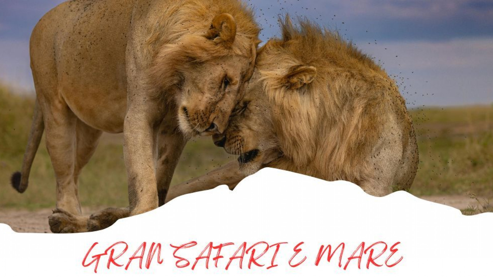 2025 africa gran safari e mare 25 IN3