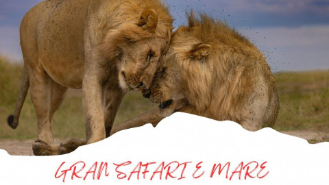 2025 africa gran safari e mare 25 IN3