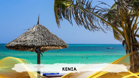 2026 kenya 9,14 08 T IN3