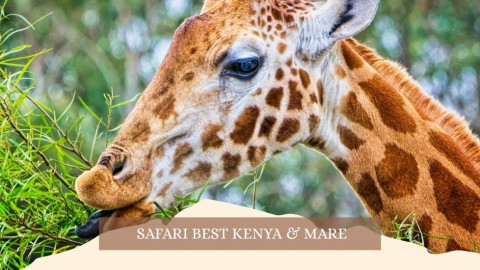2025 africa best kenia e mare gennaio marzo 26 IN3