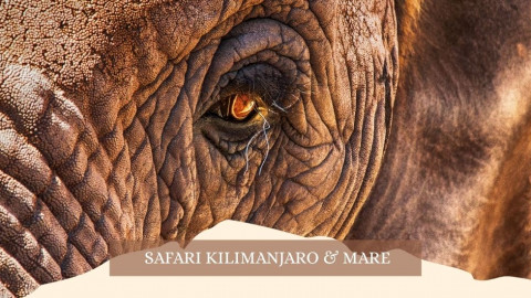2025 africa kilimangiaro e mare gennaio marzo 2025 IN3