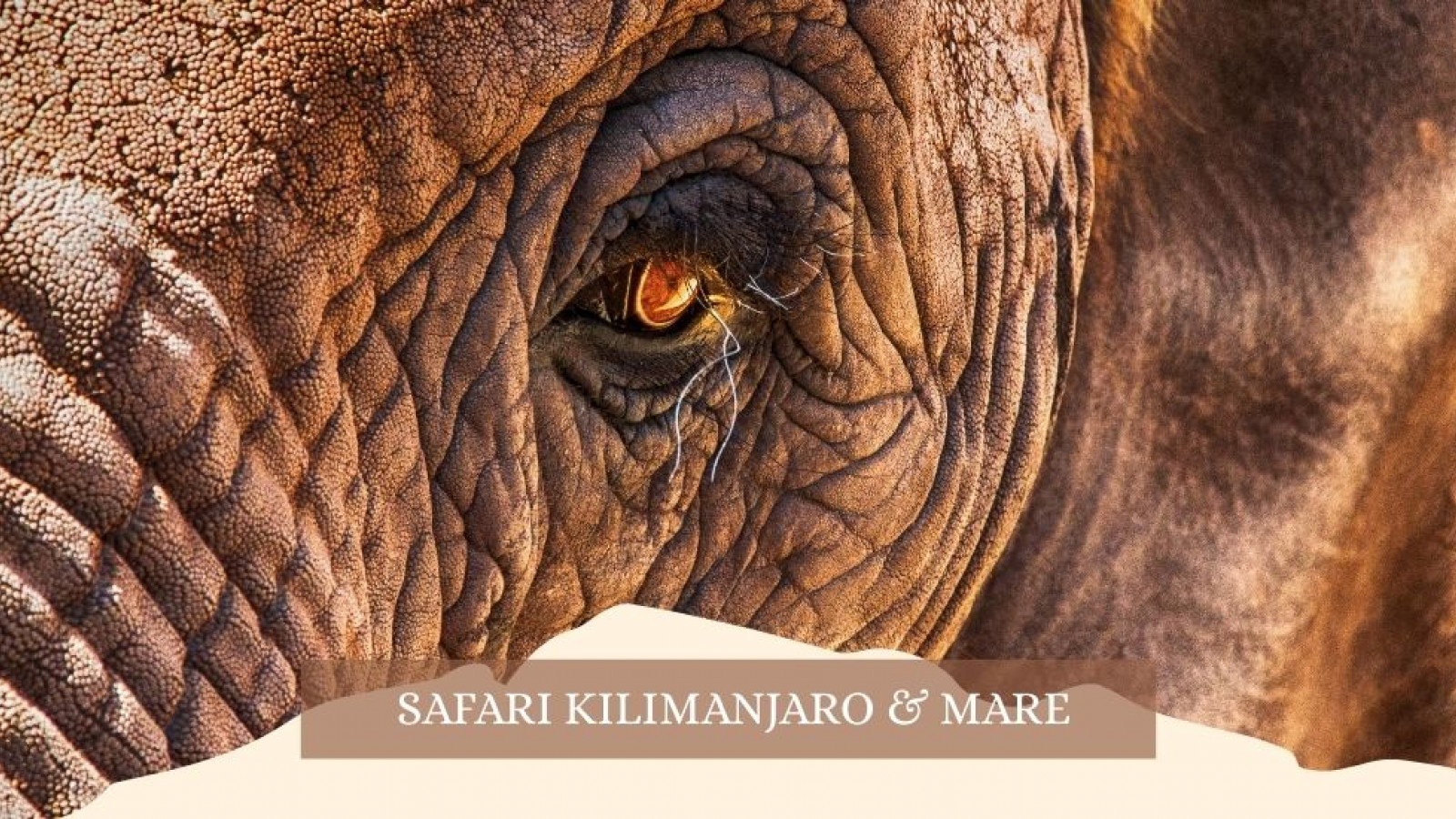 2025 africa kilimangiaro e mare gennaio marzo 2025 IN3