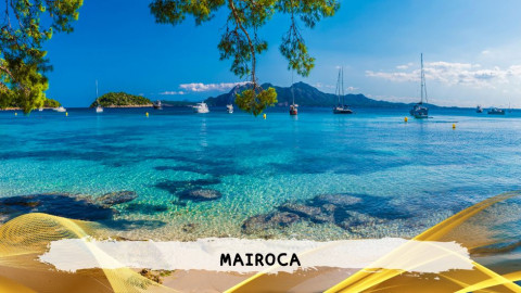 2026 maiorca 11 agosto napoli T IN3