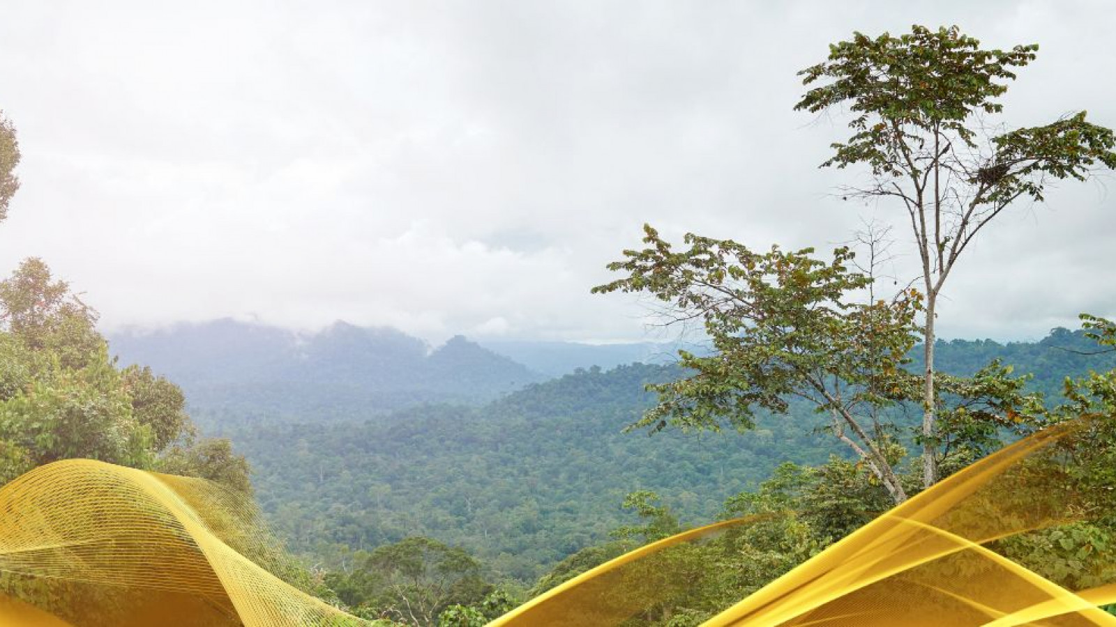 2026 malesia tour mare e altopiani 9 08 O IN3