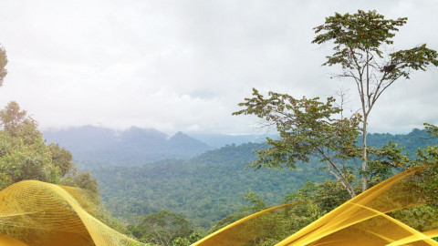 2026 malesia tour mare e altopiani 9 08 O IN3