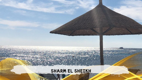 2026 sharm el sheikh da roma T IN3