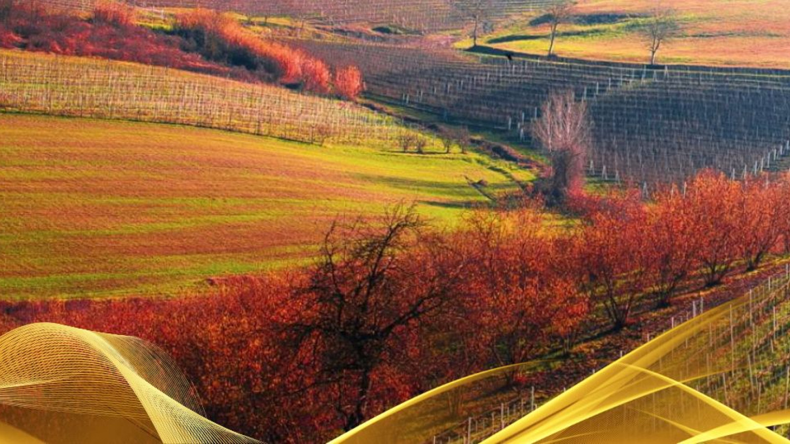 2026 W torino e le langhe 30 05 IN3