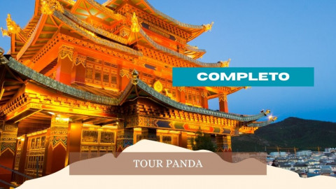 2026 cina tour panda 28 04 IN3