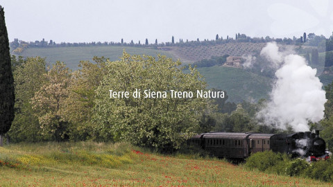 2024 W treno natura siena montepulciano 1/06 IN3