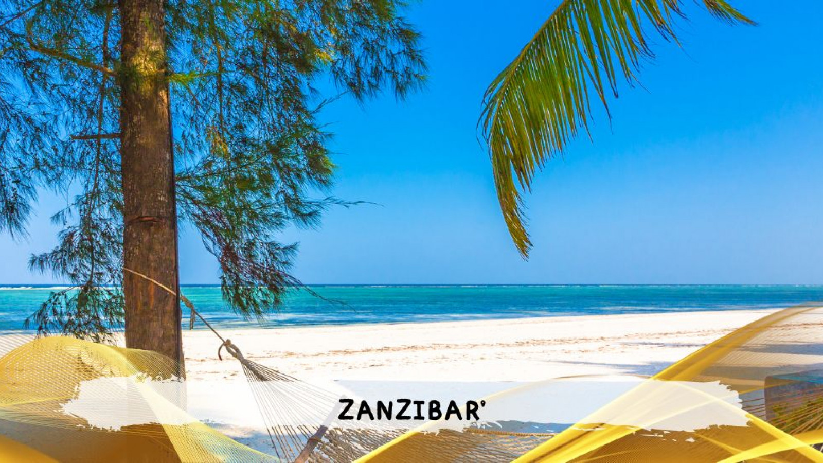 2026 zanzibar 11 08 T IN3