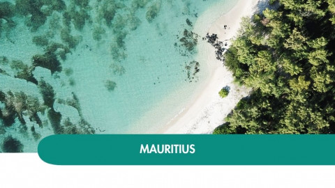 2026 mauritius capodanno T 29 12 IN3