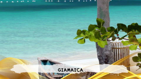 2026 giamaica 14 agosto T IN3