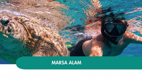 2026 marsa alam halloween T IN3