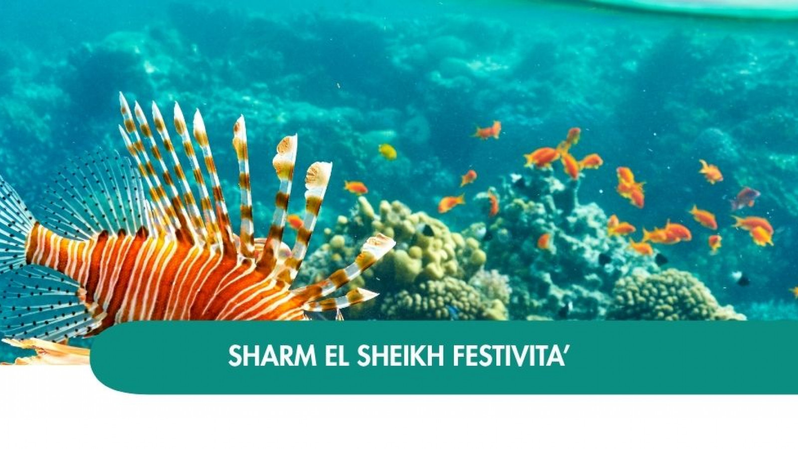 2026 sharm el sheikh queen festivita T IN3