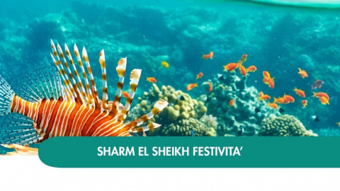 2026 sharm el sheikh queen festivita T IN3