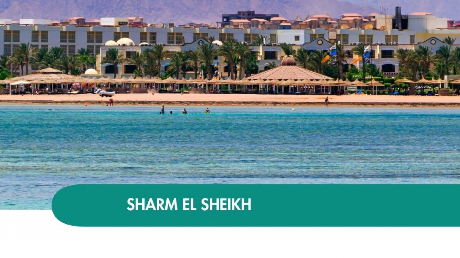 2026 sharm el sheikh queen immacolata T IN3