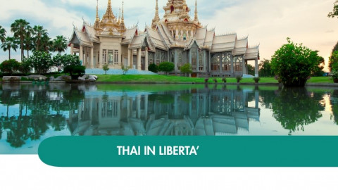 2026 thailandia halloween T IN3