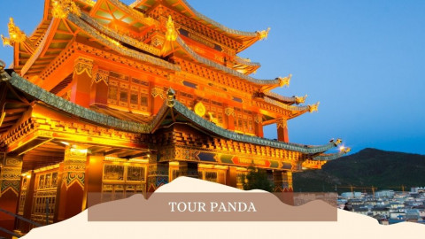 2026 cina tour panda 28 04 IN3